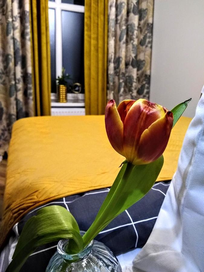 Evitadelux Slowackiego 50Mgaleria Κατοβίτσε Εξωτερικό φωτογραφία